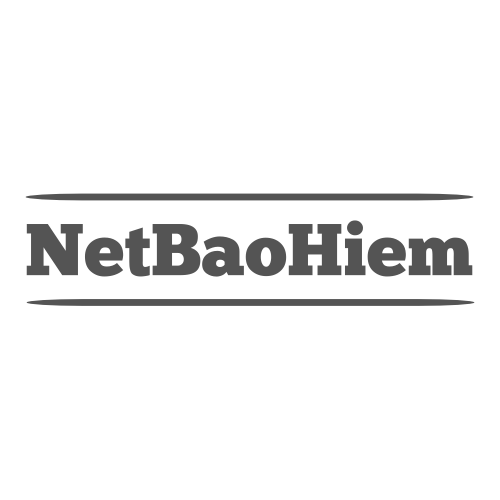 netbaohiem net bảo hiểm logo new gray version updated